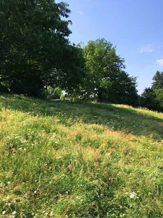 Biodiversité 