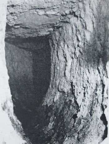 tunnel