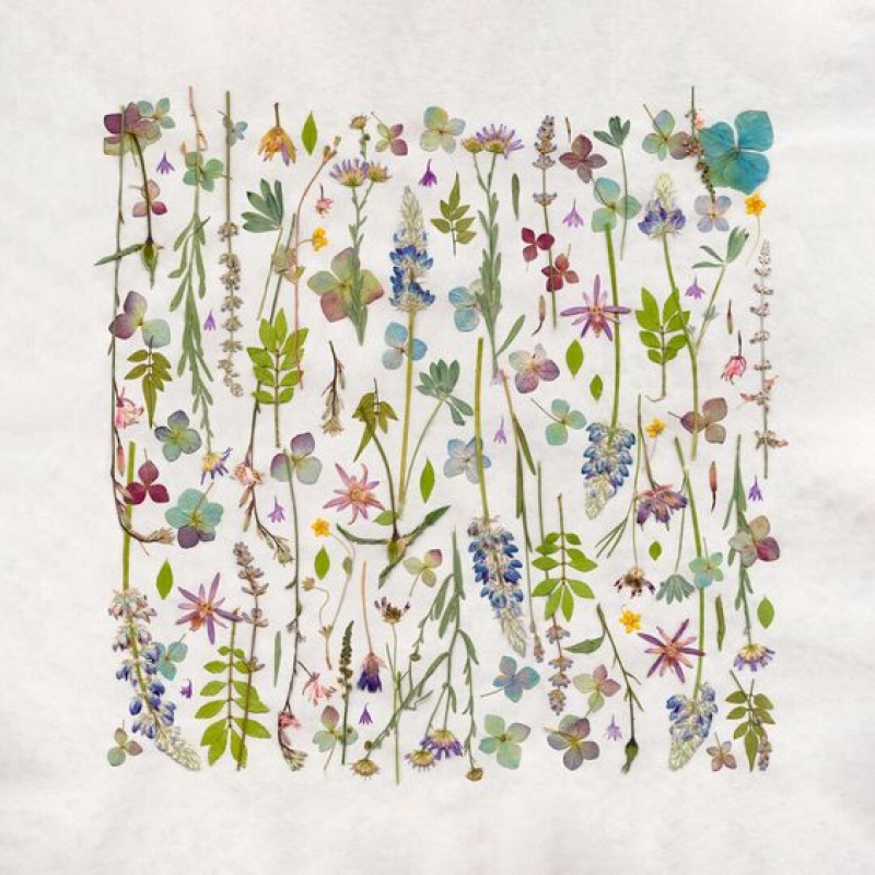 Herbier