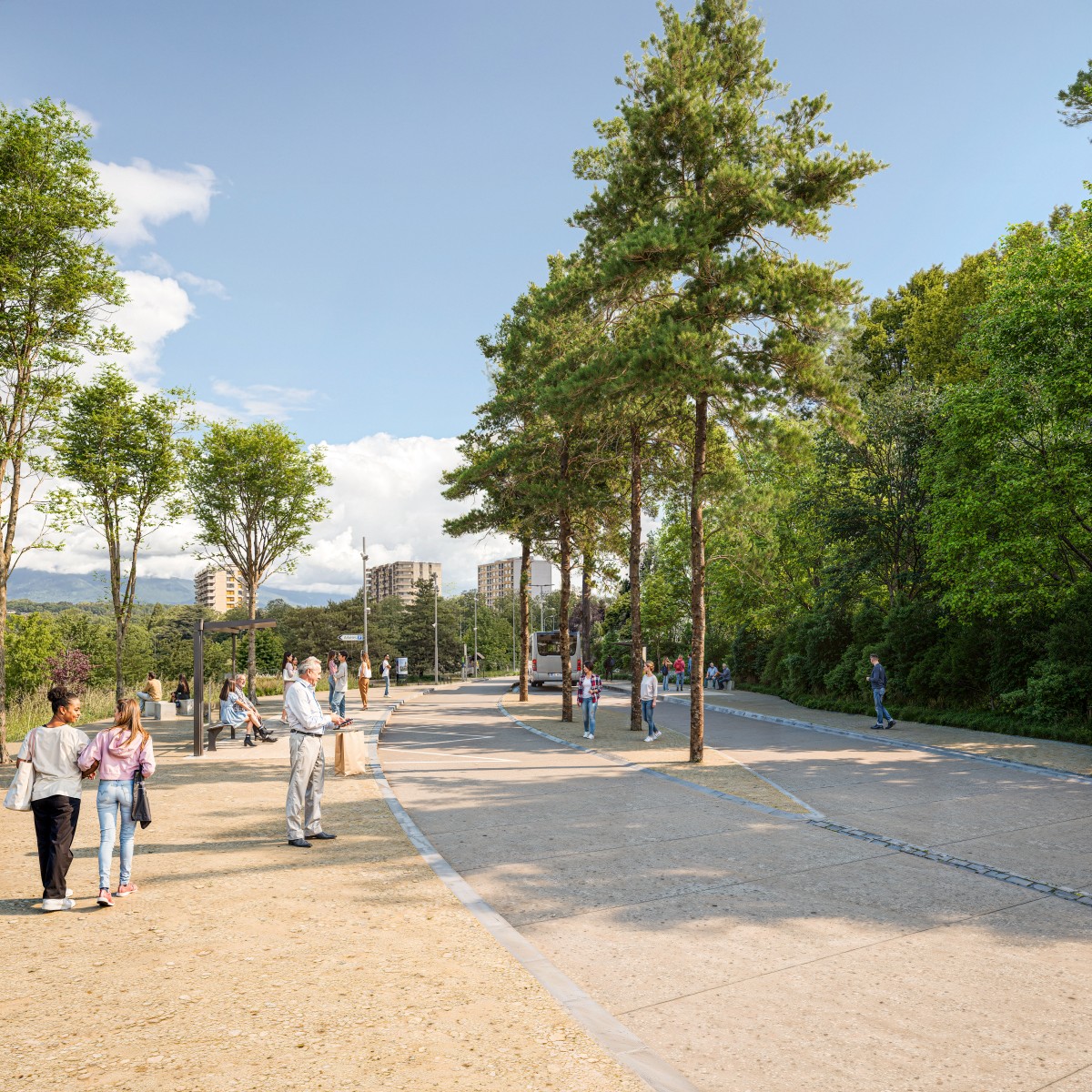 Réaménagement avenues des Vernes et de Vaudagne 